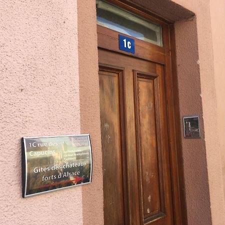 Le Gite 6 - Le Chateau Du Haut-Koenigsbourg 塞莱斯塔 外观 照片