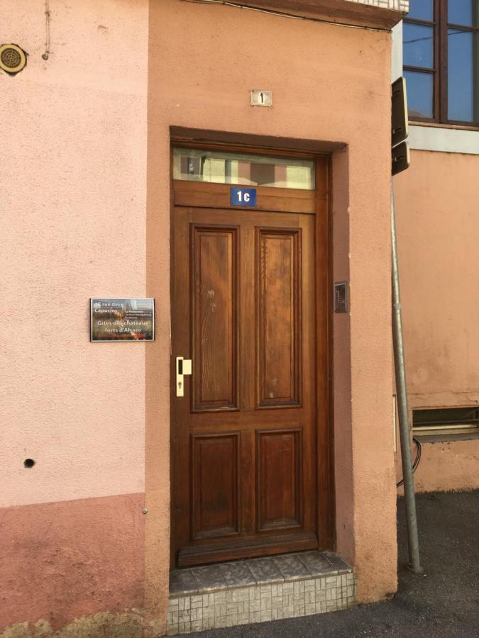 Le Gite 6 - Le Chateau Du Haut-Koenigsbourg 塞莱斯塔 外观 照片
