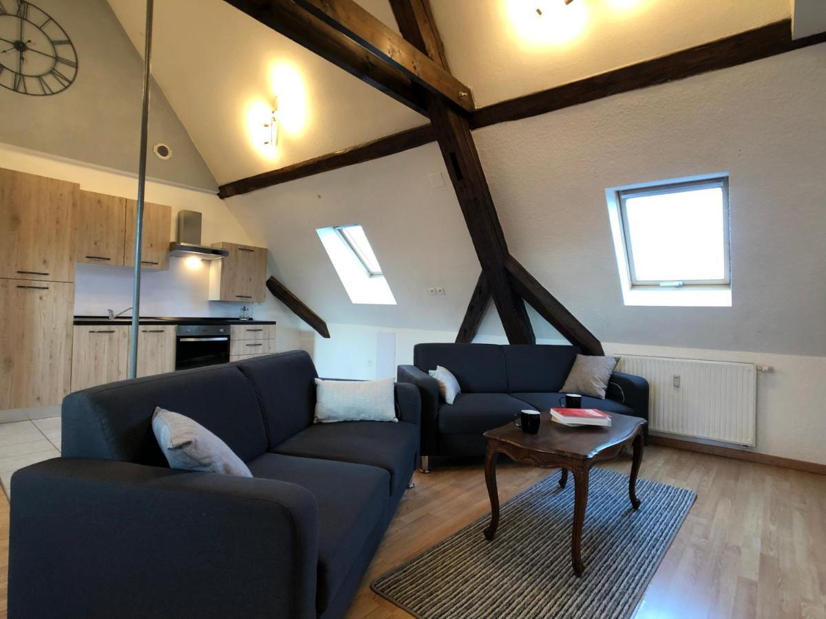 Le Gite 6 - Le Chateau Du Haut-Koenigsbourg 塞莱斯塔 外观 照片