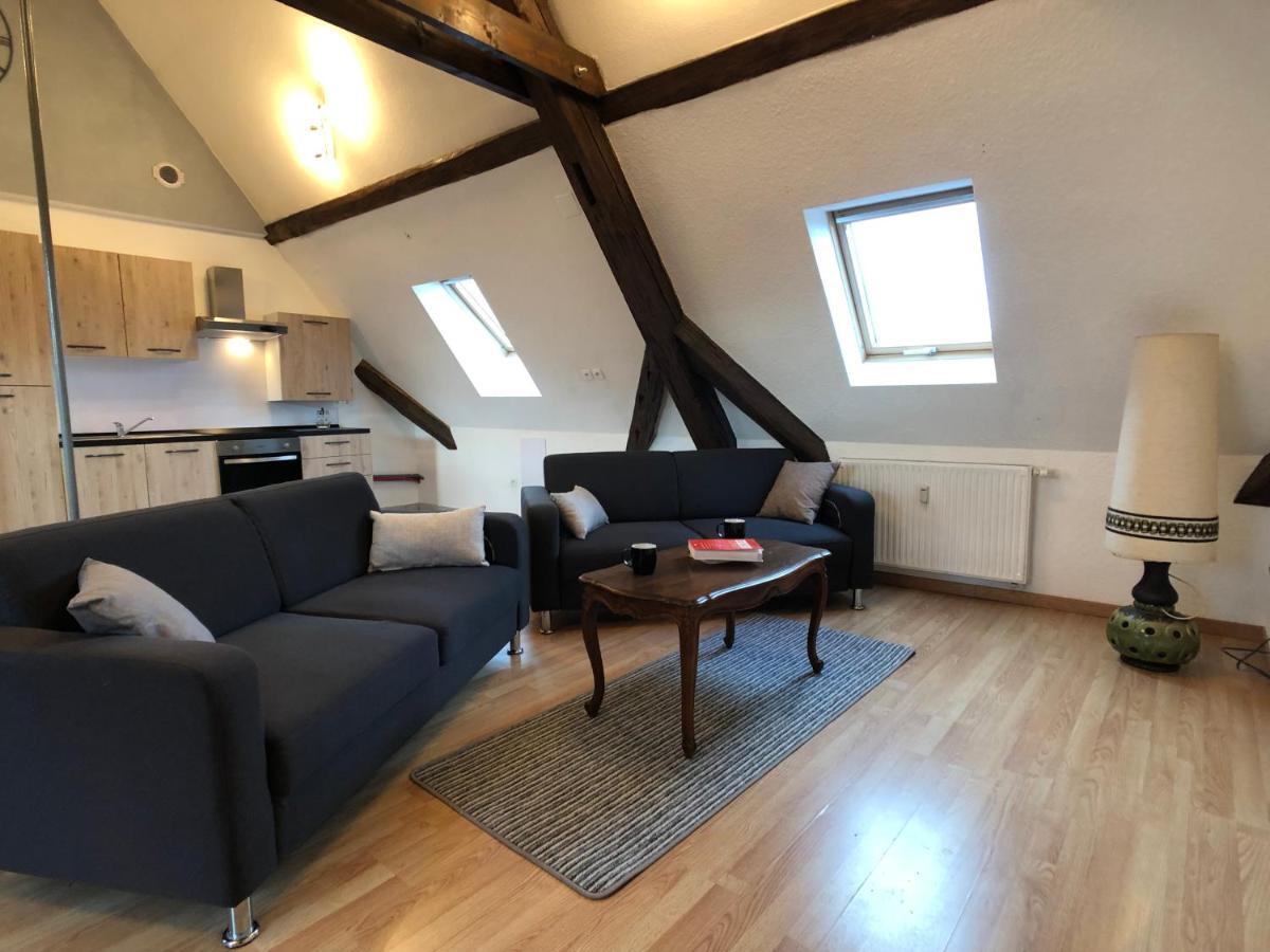 Le Gite 6 - Le Chateau Du Haut-Koenigsbourg 塞莱斯塔 外观 照片